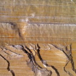 Gypsum