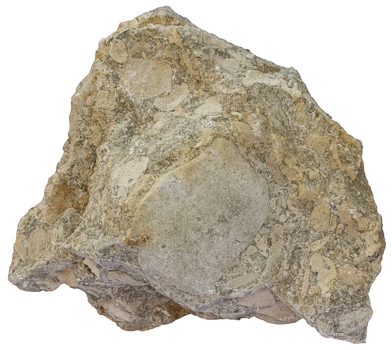 Tempestite