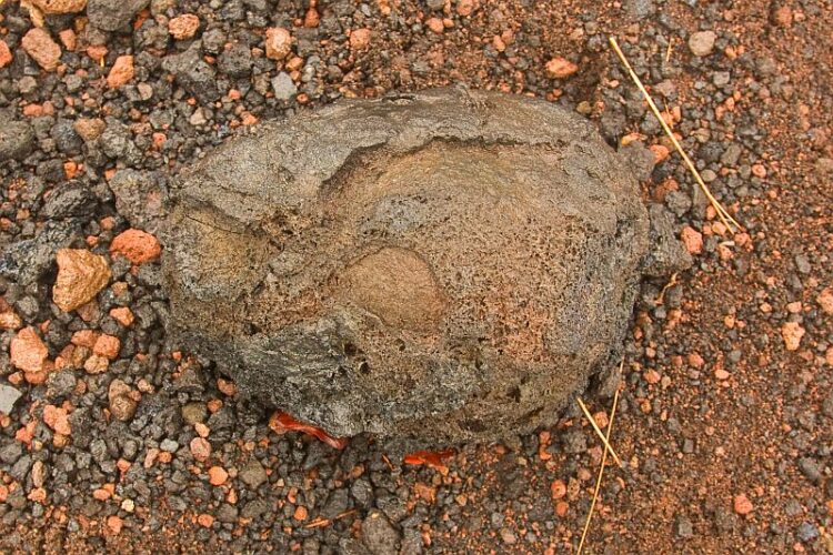 Volcanic bomb