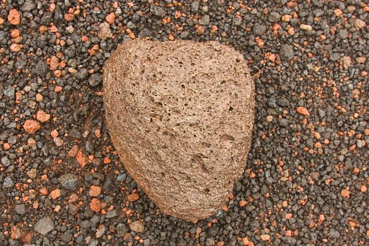 Volcanic bomb. Cumbre Vieja, La Palma. Width of sample 15 cm.