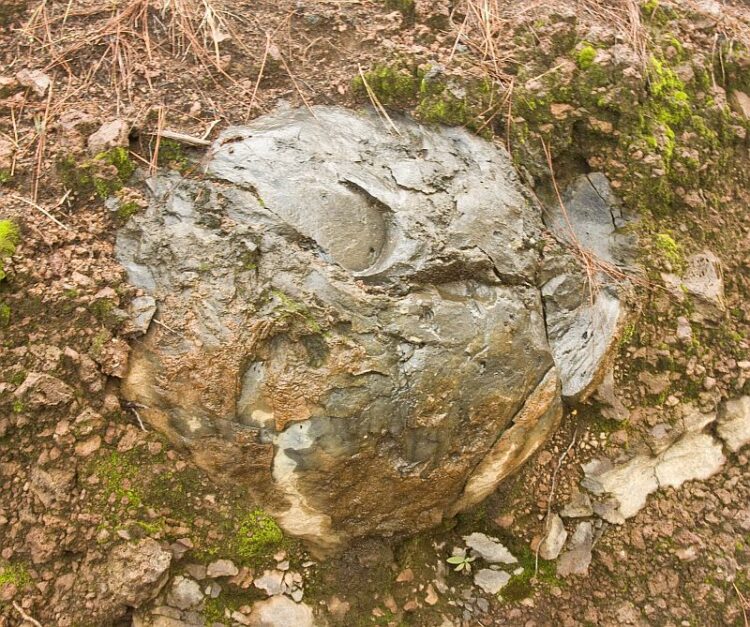 Volcanic bomb
