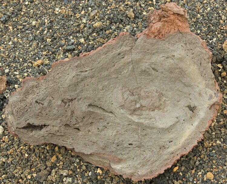 Interior of a volcanic bomb