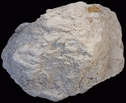 Ulexite