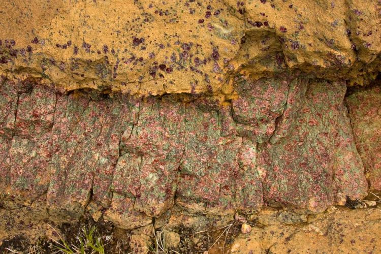 Peridotite and pyroxenite