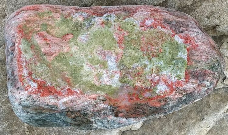 Epidote alteration