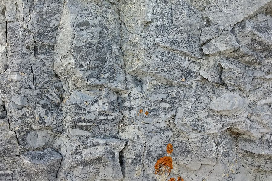 Tempestite