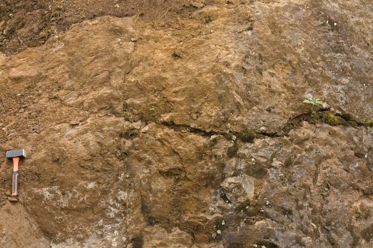 rödbergite-carbonatite outcrop