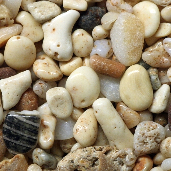 Coral sand