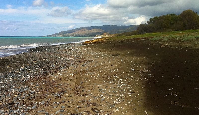 Pyrite sand beach