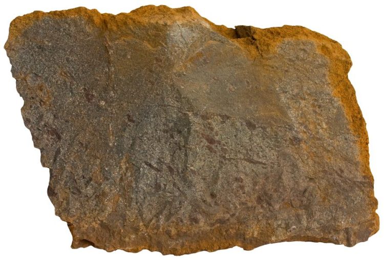 rödbergite 13 cm