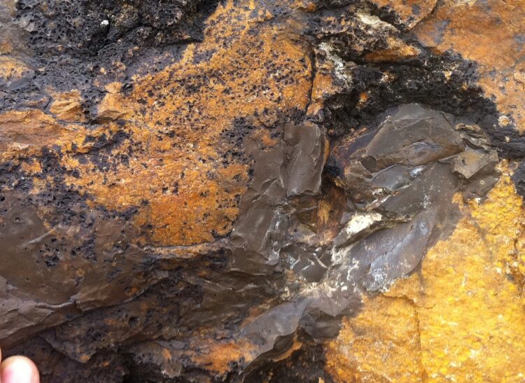 Silicified umber