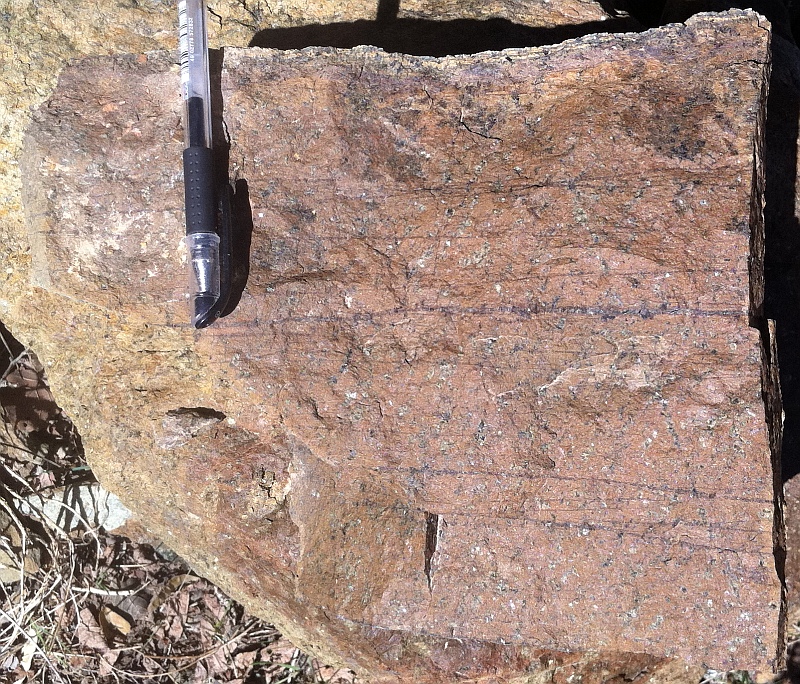 Layered harzburgite