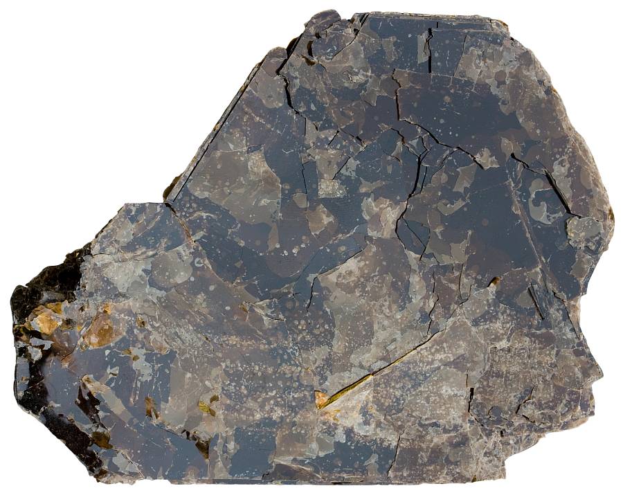 Biotite
