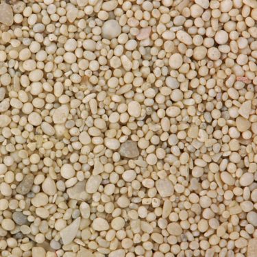 Ooids in sand