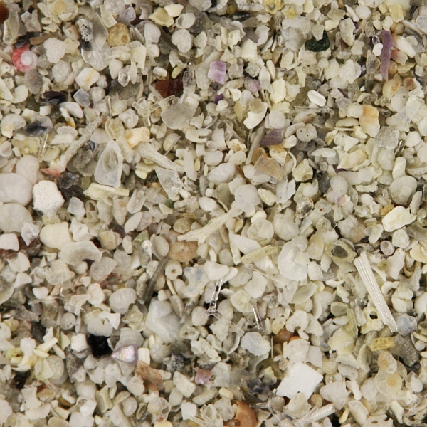 Biogenic sand maerls