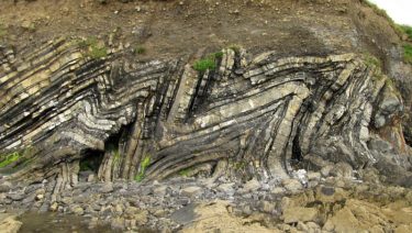 Turbidite