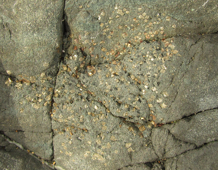 Disseminated pyrite in andesite